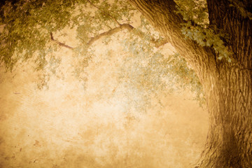 Vintage style image of tree with retro grunge textured effect