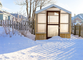 Small wood framed greenhouse in a residential backyard.