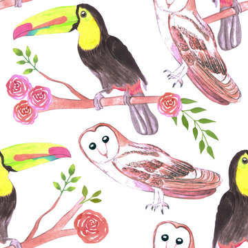 Keel billed toucans and barn owls and flowers seamless watercolor background
