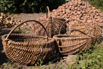 wicker basket for potatoes