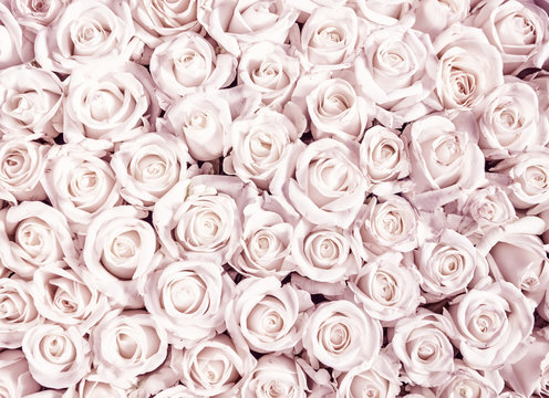 Background from small rosebuds of gentle pastel shades. © Ann Stryzhekin