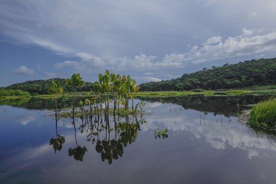 Kaw Marsh, Marais de Kaw,