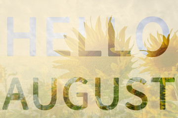 Hello August text over field