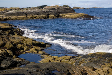 Obraz premium Waves off the Atlantic coast, Norway