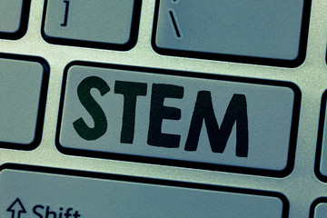 Writing note showing Stem. Business photo showcasing Life Sciences Engineering in all aspect Continuous expanding technology.