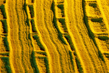 Curved lines from yellow sand