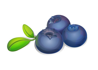 Juicy ripe blueberries with green leafs. Three bilberries with leafs. Ripe fruits full of nutrition and vitamins