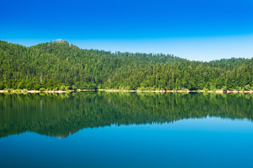 Lake in Gorski kotar, Lokve, Croatia, forest reflection in watter