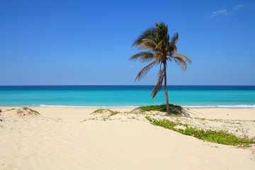 Naklejka na ściany i meble Cuba beach - Playas Del Este. Beautiful beach landscape.