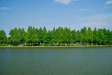 水元公園