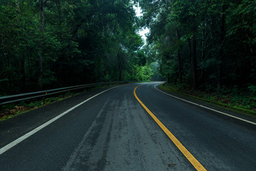 Asphalt road through the forest in rainy season