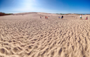 LEBA, POLAND - JULY 25, 2019: Slowinski National Park is situated on the Baltic Sea coast, near Leba, Poland. Desert landscape with the largest moving sand dunes in Europe. Hot day with clear sky.