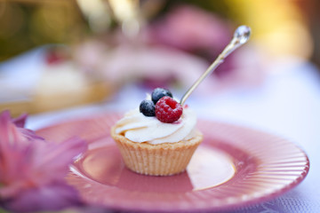 Sweet cupcakes with berries outdoor on plate