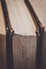 old shabby books in the studio