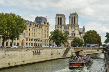 Naklejka premium notre dame de paris