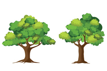 Tree collection isolated on white background. Cartoon of trees.
