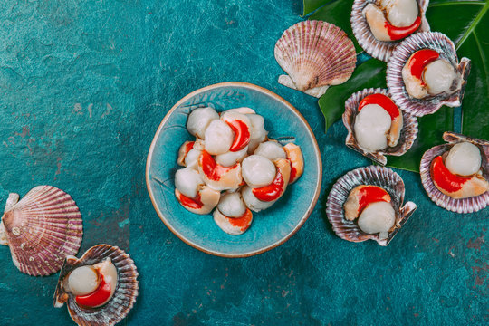 Raw fresh seafood shellfish scallops on blue background
