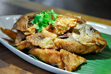 fried fish, fried tilapia fish