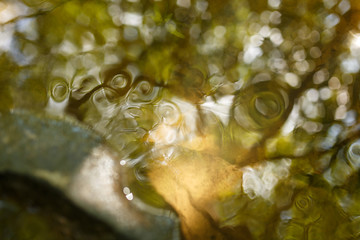 Water Flow
