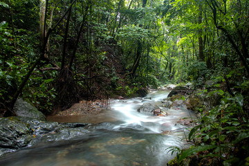 Beautiful streams in the deep forests of Nan Province, Thailand.3