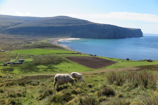 Bucht von Rackwick auf Hoy, Orkney Inseln