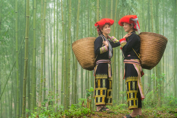 Vietnamese ethnic minority Red Dao women in traditional dress and basket on back in misty bamboo forest in Lao Cai, Vietnam