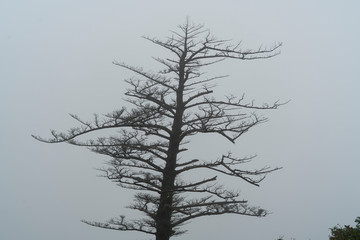 Mount Tsurugi in Tokushima, Japan