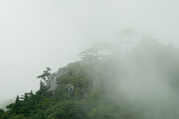 Mount Tsurugi in Tokushima, Japan