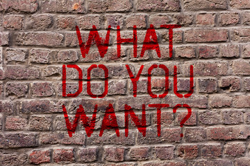 Writing note showing What Do You Want Question. Business concept for say or write in order to ask demonstrating about something Brick Wall art like Graffiti motivational call written on the wall