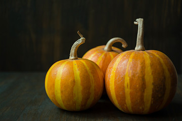 Decorative pumpkin. Halloween Still life. View from the side. Dark background. Space for text.