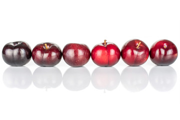 Group of six whole ripe red round plum in row isolated on white background