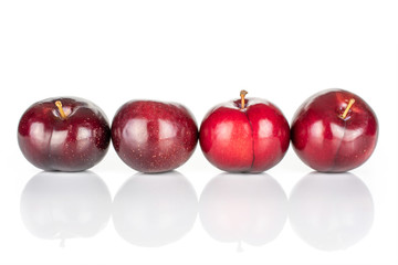 Group of four whole ripe red round plum in row isolated on white background