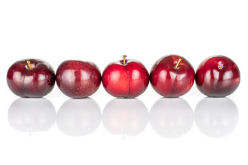 Group of five whole ripe red round plum in row isolated on white background