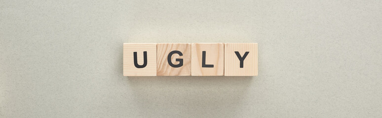 panoramic shot of wooden blocks with ugly lettering on grey background, bullying concept