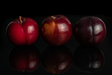 Group of three whole ripe red round plum in row isolated on black glass