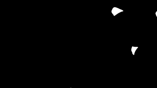 3D animation of a flower petals flow with alpha layer