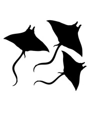 3 stachelrochen schwimmen tauchen silhouette umriss rochen schön unterwasser fisch schweben fliegen flügel gefährlich tier meer wasser clipart stechrochen tiefsee zitterrochen
