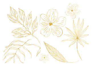Fototapeta na wymiar Illustration drawing sketch orange outline leaves of exotic plants on a white isolated layer as a set