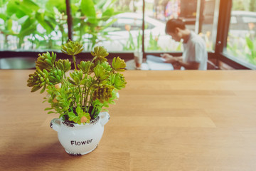 Artificial plants or plastic tree on table for decoration and welcome for customers in coffee shop.