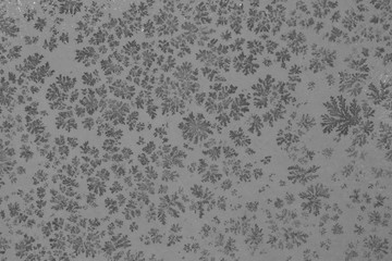 floral petrification