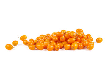 Pile of sea buckthorn berries isolated on white background