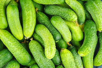 Cucumbers background