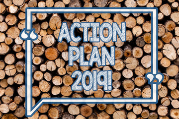Handwriting text writing Action Plan 2019. Conceptual photo Challenge Ideas Goals for New Year Motivation to Start Wooden background vintage wood wild message ideas intentions thoughts