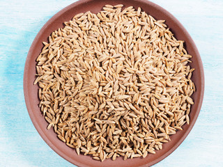 Cumin seeds (Cuminum), Jeera in a clay plate on a blue wooden background