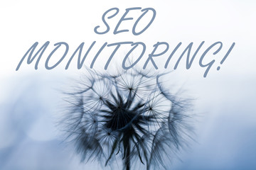 Word writing text Seo Monitoring. Business photo showcasing the process of optimizing the...