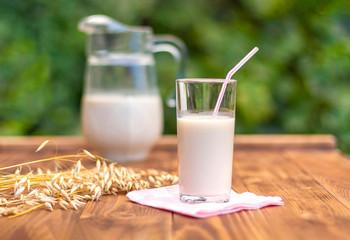 Oat milk in a glass in a summer garden on a background of a jug of oat milk and oat ears on a brown wooden table.Selective focus.