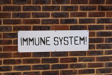 Word writing text Immune System. Business photo showcasing host defense system comprising analysisy biological structures