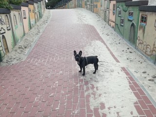 wejście na plażę Wicie © Rafa