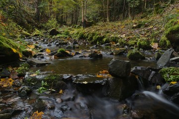 Langzeitbelichtung Wasserlauf im Herbst