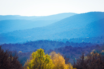 autumn in the mountains © Ornavi